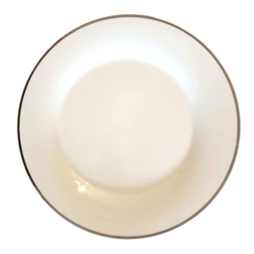 1 Vtg Dinner Plate Everyday Gibson